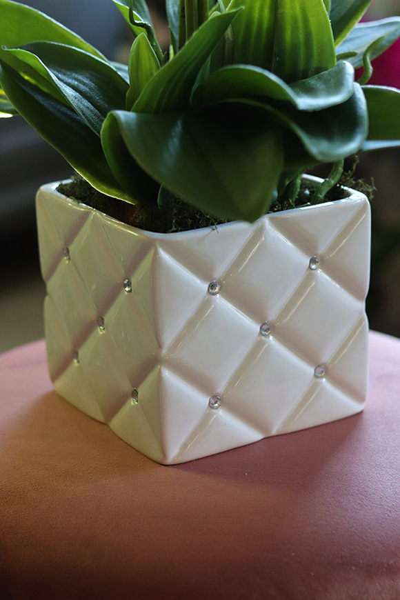 gumowy storczyk Monaco Glamour, wys.59cm