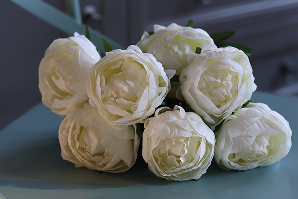 Bella Italia, bukiet kremowych peoni, 7szt. dł.42cm