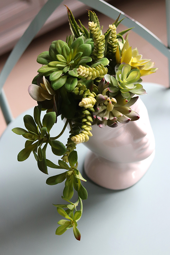 efektowna kompozycja sukulenty, Pstro w Głowie, wys.24cm