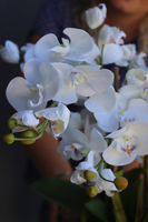 Lucina, sztuczny storczyk w ceramicznej ażurowej donicy, wys.50cm