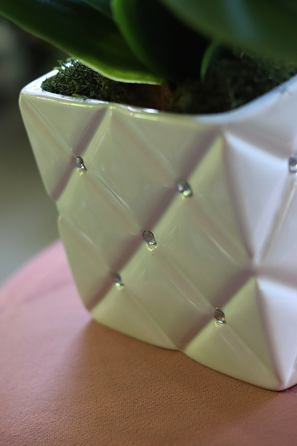 gumowy storczyk Monaco Glamour, wys.59cm