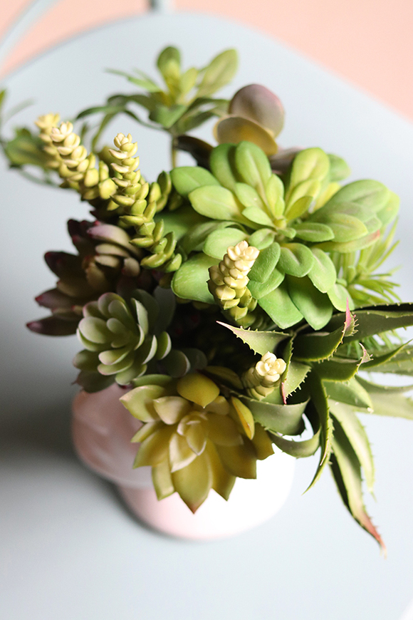 efektowna kompozycja sukulenty, Pstro w Głowie, wys.24cm