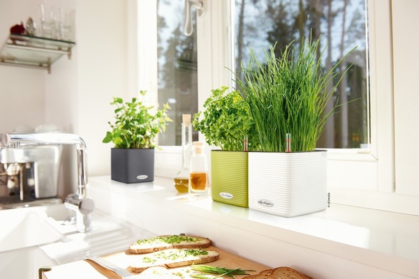 Cube, elegancka donica z nawadnianiem, zielona, wym.16x17cm