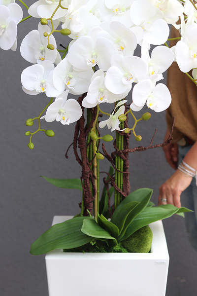 Camila Grande Fiberglass, duży biały storczyk w donicy, wys.152cm