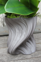 storczyk Fala w szarej donicy, wys.58cm 