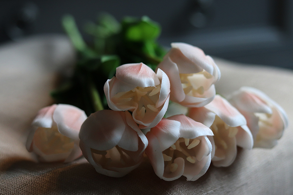 tulipan pojedynczy, Wiosenne Piękno, 1szt. dł.43cm