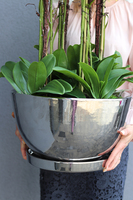 Helissa Silver, storczyk w stylowej lustrzanej donicy z podstawką, wys.95cm