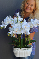 Lucina, sztuczny storczyk w ceramicznej ażurowej donicy, wys.50cm