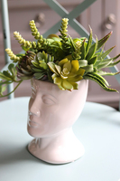 efektowna kompozycja sukulenty, Pstro w Głowie, wys.24cm