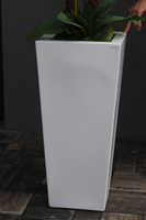 Camila Grande Fiberglass, duży biały storczyk w donicy, wys.152cm