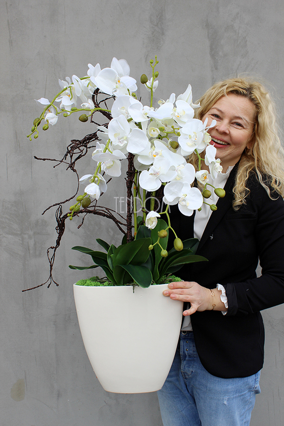 Exclusive Italy duży storczyk w eleganckiej donicy wys.87cm