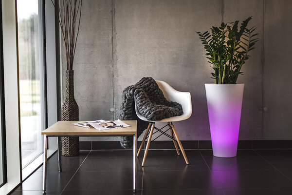 Della donica podświetlana 16kolorów + pilot 40x75cm