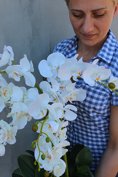 Silver Moon biały storczyk w biało-srebrnej donicy, wys.55cm