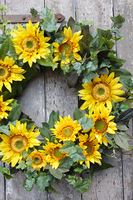 wieniec Złote Słoneczniki, śr.60cm