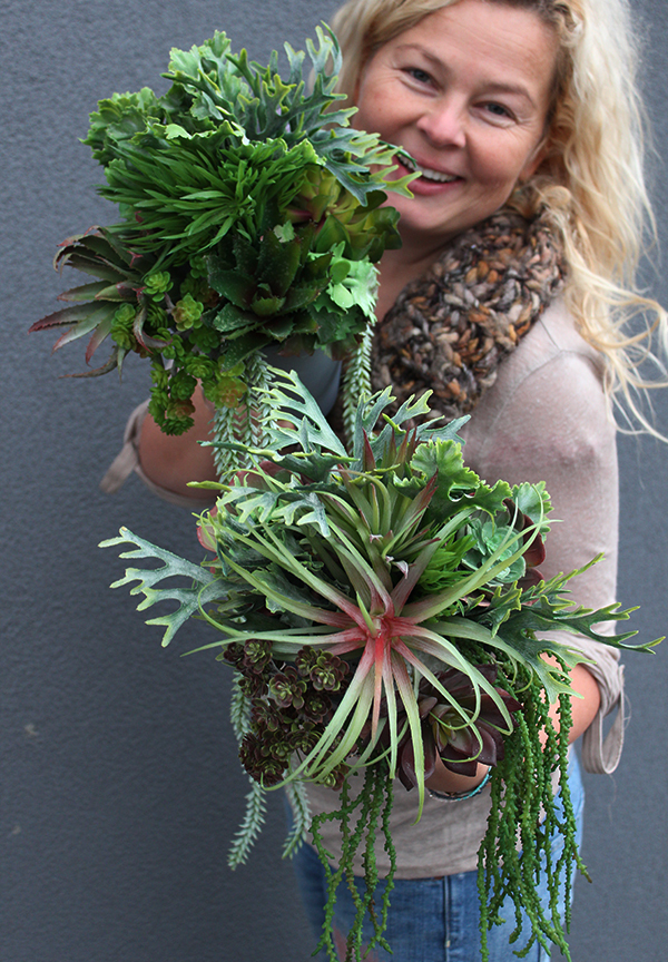 komplet Sukulentów Grey, 2 szt, wys.27cm