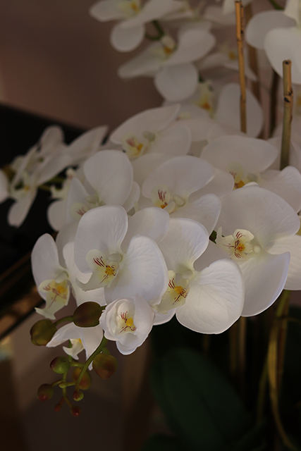 Śnieżka Mediolan, sztuczny storczyk w wysokiej donicy, wys.110cm