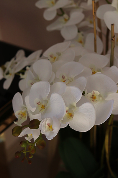 Śnieżka Mediolan, sztuczny storczyk w wysokiej donicy, wys.110cm