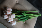tulipan pojedynczy, Wiosenne Piękno, 1szt. dł.43cm