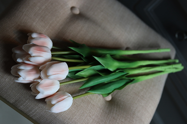 tulipan pojedynczy, Wiosenne Piękno, 1szt. dł.43cm