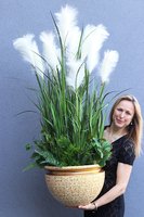 Jessica, kompozycja w Twojej donicy, wys.145cm 