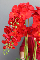 czerwony storczyk Mediolan Modern, wys.129cm