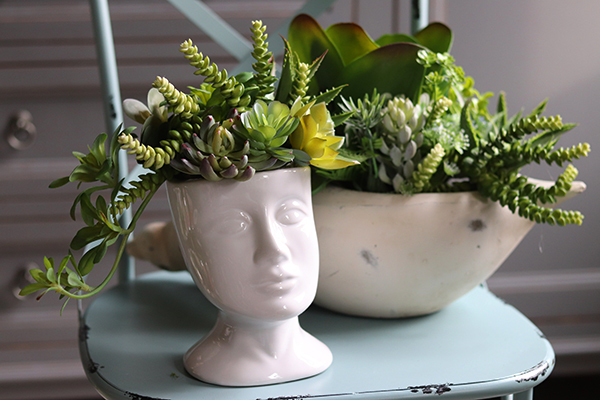 efektowna kompozycja sukulenty, Pstro w Głowie, wys.24cm