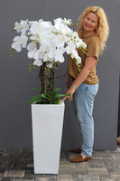 Camila Grande Fiberglass, duży biały storczyk w donicy, wys.152cm