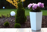 Fantasy donica rattan biała 19x36cm