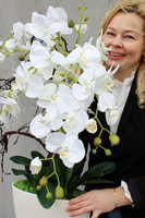 Exclusive Italy duży storczyk w eleganckiej donicy wys.87cm