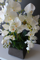 storczyk sztuczny Beata w donicy przypominającej kamień, wys.65cm