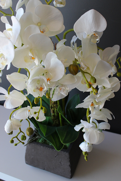 storczyk sztuczny Beata w donicy przypominającej kamień, wys.65cm