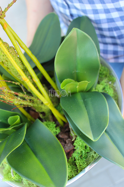 Silver Moon biały storczyk w biało-srebrnej donicy, wys.55cm