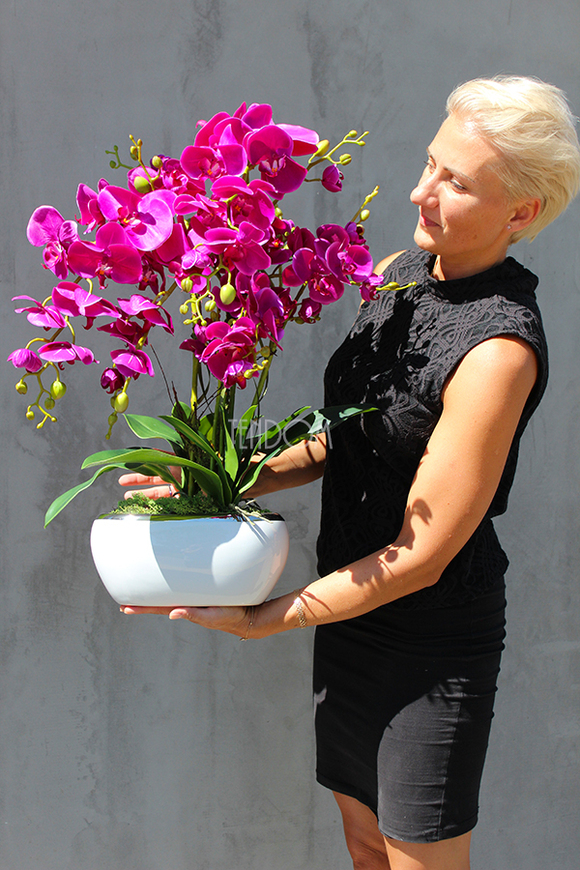 Glamour Fuksja, storczyk w białej podłużnej donicy, wys.65cm