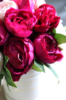 kompozycja kwiatowa / bukiet Flowerbox Terranola, wys.32cm