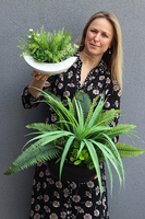 Greenera, efektowna kompozycja Sukulenty w czarnej donicy, wys.43cm