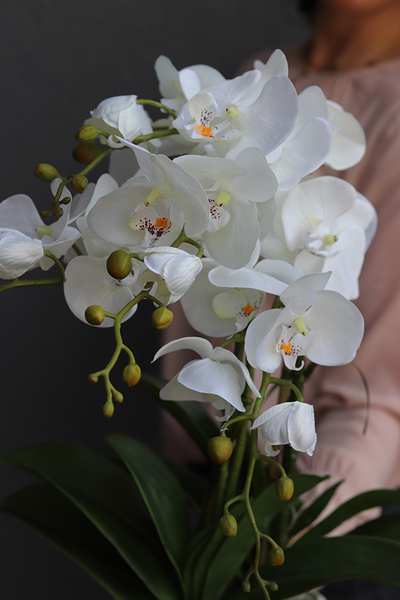 Karolina, sztuczny storczyk w zdobionej kwadratowej donicy, wys.55cm