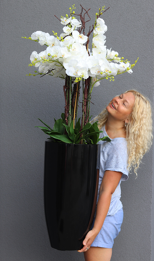 Black Grande Fiberglass, gumowy storczyk w czarnej donicy z fiberglass (połysk), wys.140cm 