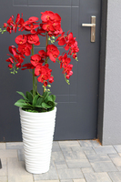 czerwony storczyk Mediolan Modern, wys.129cm