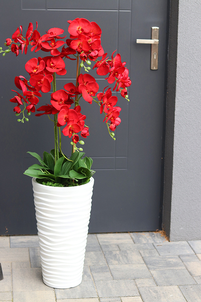 czerwony storczyk Mediolan Modern, wys.129cm