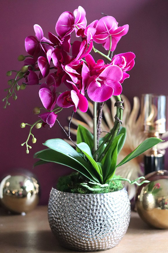 Galenna, fuksjowy storczyk w srebrnej donicy, wys.50cm 