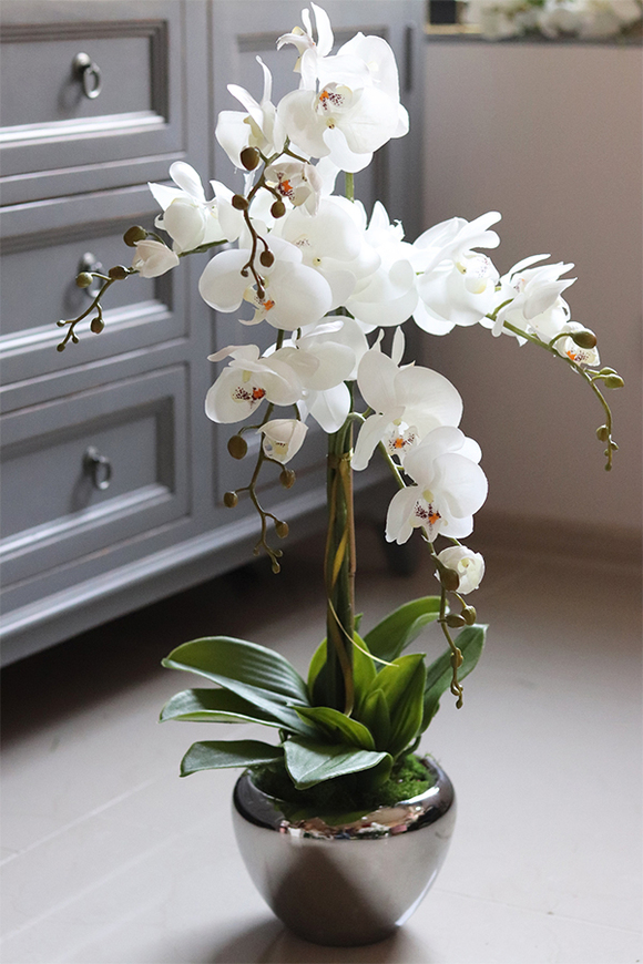 Aurelia Silver, elegancki storczyk w srebrnej donicy, wys.76cm 