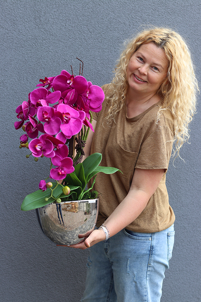 Cinderella Fuksja, elegancki storczyk w srebrnej donicy, wys.58cm