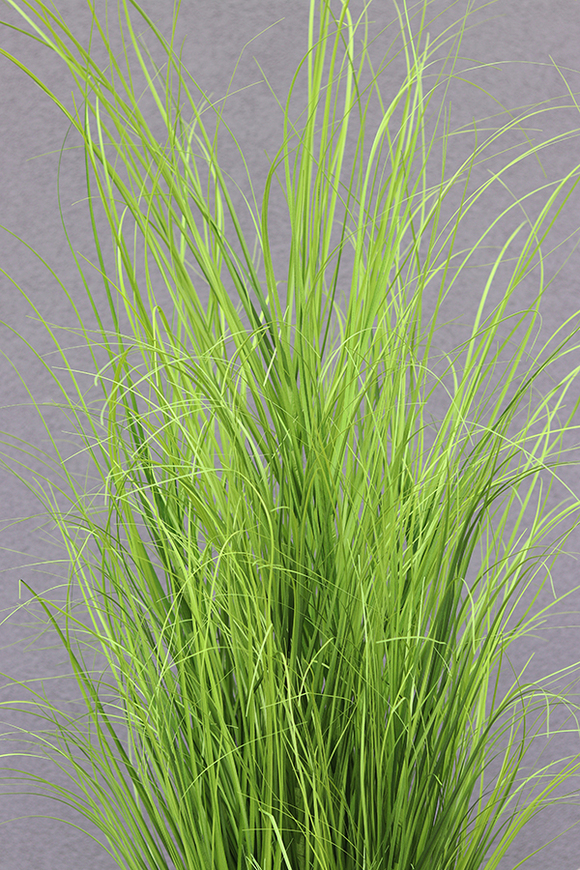 Merino Krem, sztuczna trawa w plastikowej dłutowanej donicy, wys.160cm