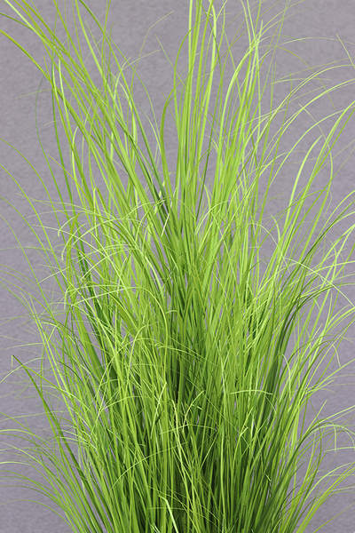 Merino Krem, sztuczna trawa w plastikowej dłutowanej donicy, wys.160cm