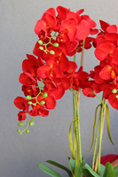 czerwony storczyk Mediolan Modern, wys.129cm