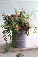 Suculentas Velvett, welurowy flowerbox z sukulentami, wys.41cm