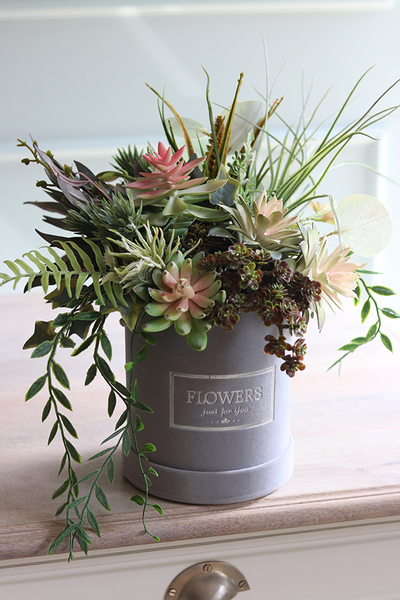 Suculentas Velvett, welurowy flowerbox z sukulentami, wys.41cm 