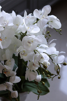 Srebrny Pałac 2, sztuczny storczyk w lustrzanej donicy, wys.70cm 