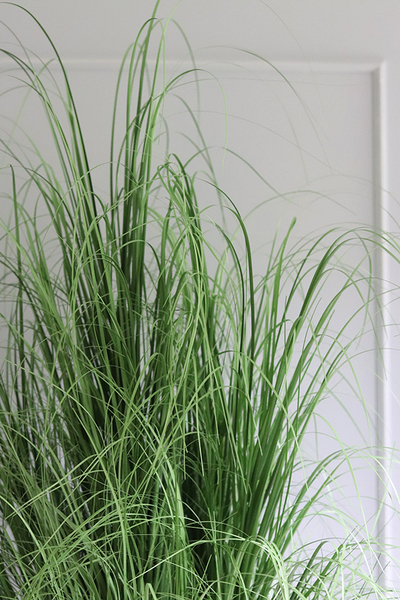 Belato, sztuczna trawa we wkładzie do donicy, wys. 130cm