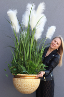 Jessica, kompozycja w Twojej donicy, wys.145cm 